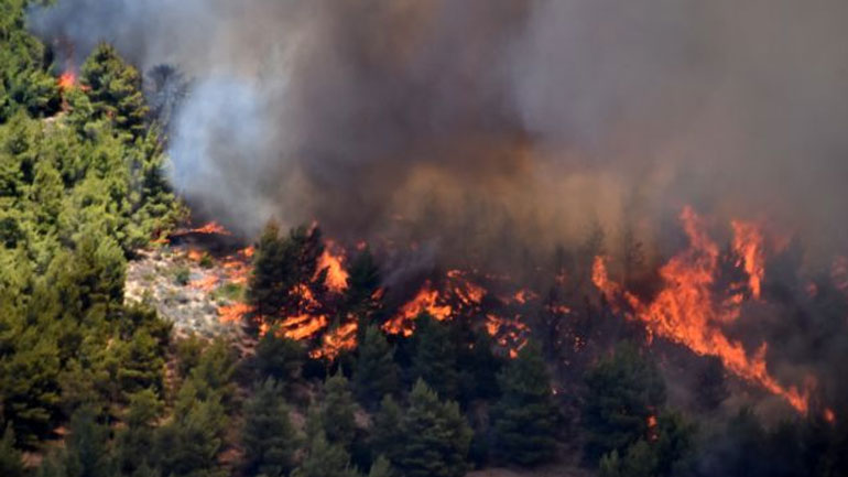 Μεγάλη φωτιά στη Σητεία – Ισχυρή δύναμη της Πυροσβεστικής στο σημείο