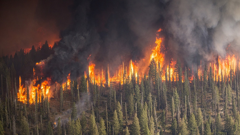 Πορτογαλία: Πυροσβέστης έχασε τη ζωή του σε δασική πυρκαγιά