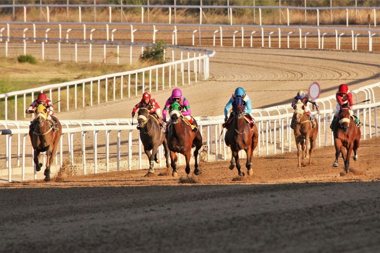 Δυνατές αφίξεις στο Markopoulo Park
