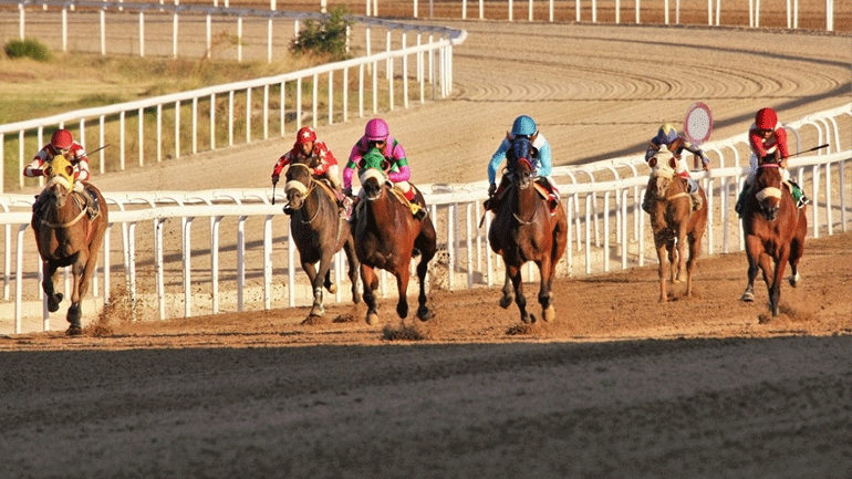 Δέκα νικητές στο ΣΚΟΡ 6 των ελληνικών ιπποδρομιών