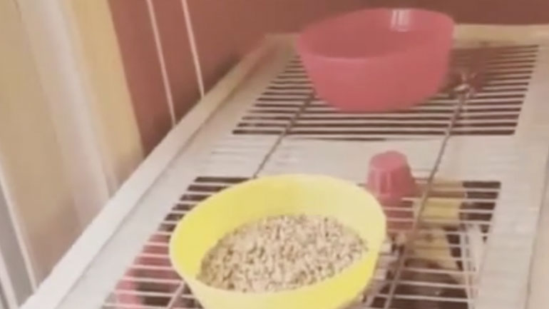 Ανώμαλη προσγείωση