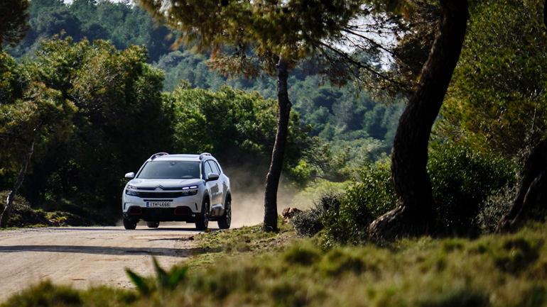 Πατάει άνετα σε άσφαλτο, χώμα και χιόνι
