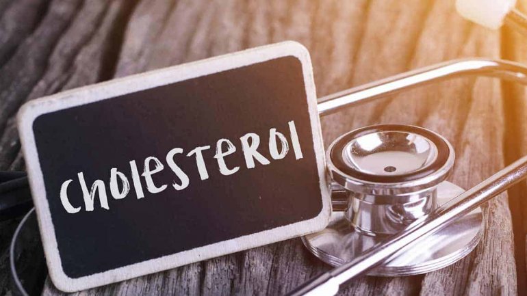 Ο ρόλος της χοληστερόλης στις μεμβράνες των κυττάρων