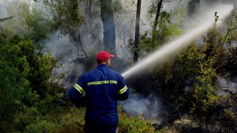 Πυρκαγιά σε δασική έκταση στη Μεσσηνία