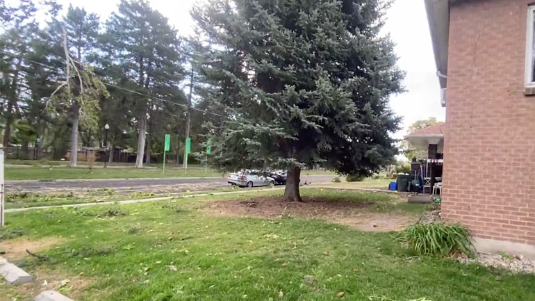 Δυνατοί άνεμοι έσπασαν κλαδί δέντρου