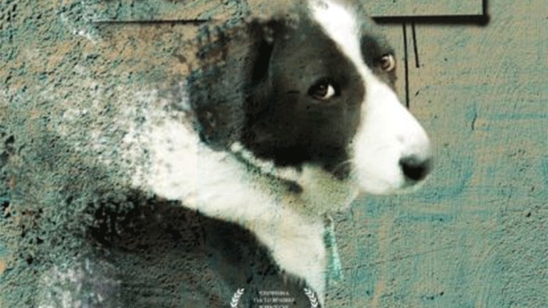 «Οι Άγνωστοι Αθηναίοι», μια ταινία της Αγγελικής Αντωνίου για τα αδέσποτα της Αθήνας