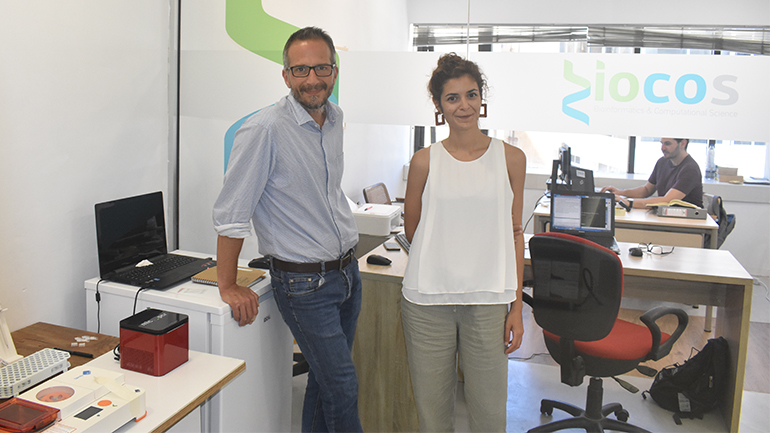 BioCos: Μια πλατφόρμα που διακρίνει τις ποικιλίες ελιάς με χρήση αλγόριθμου