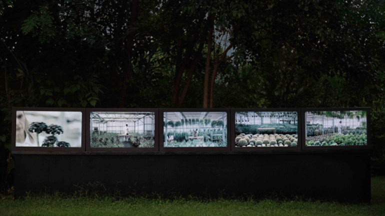 «Δομές συναισθημάτων» του Γιώργου Δρίβα στον Κήπο του Μεγάρου Μουσικής