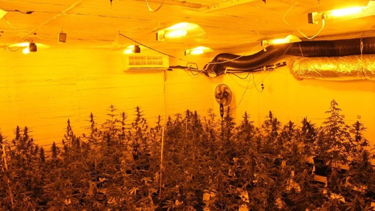 Χειροπέδες σε 29χρονο στην Κόρινθο για εργαστήριο υδροπονικής καλλιέργειας κάνναβης