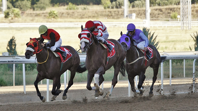 Markopoulo Park: Έντεκα καθαρόαιμοι ίπποι διεκδικούν το Κριτήριο Τριετών