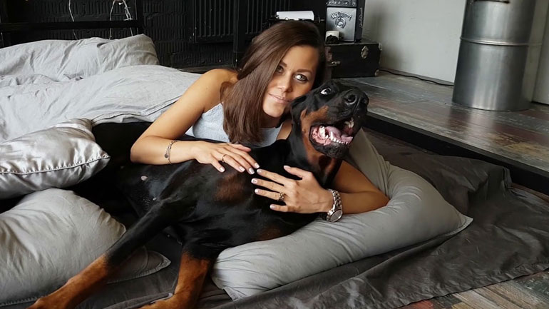 Εκπαιδεύοντας το σκύλο μας για να μην γαβγίζει συνεχώς