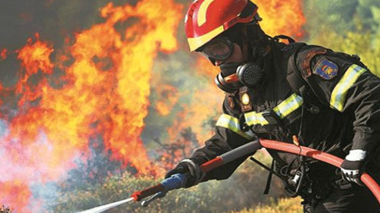 Αλεξανδρούπολη: Επίγειες και εναέριες δυνάμεις επιχειρούν στην κατάσβεση πυρκαγιάς στην Αισύμη