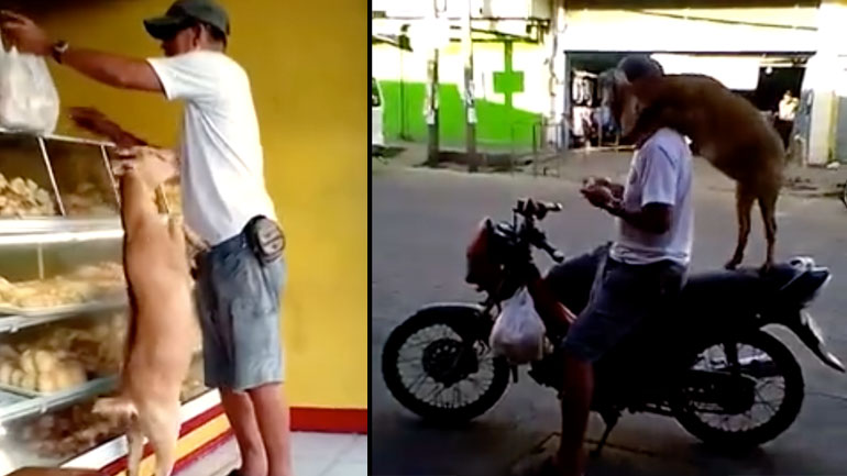 Θα κάνουμε μια στάση στον φούρνο