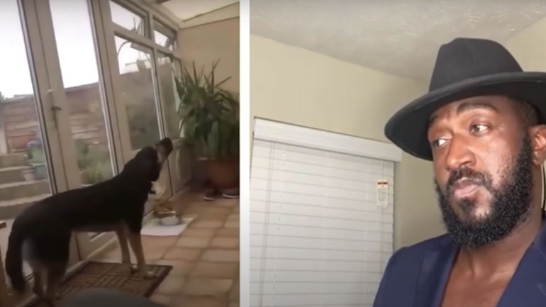 Ντουέτο με έναν σκύλο