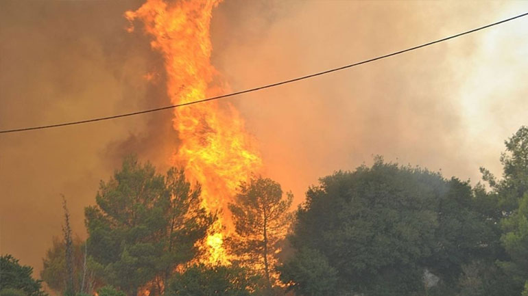 Φωτιά στη Φιλιππιάδα Πρέβεζας Φωτιά στη Φιλιππιάδα Πρέβεζας