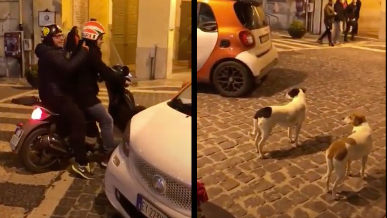 Αποφεύγοντας μια ενέδρα