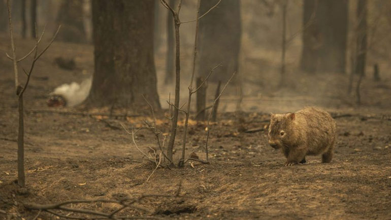 Έκθεση ΟΗΕ: Δεν επετεύχθη κανένας από τους στόχους προστασίας του περιβάλλοντος