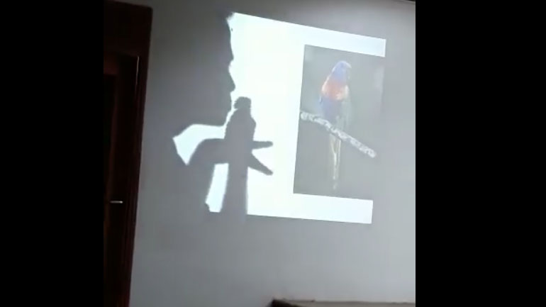 Αναπαράσταση φωτογραφιών με σκιές