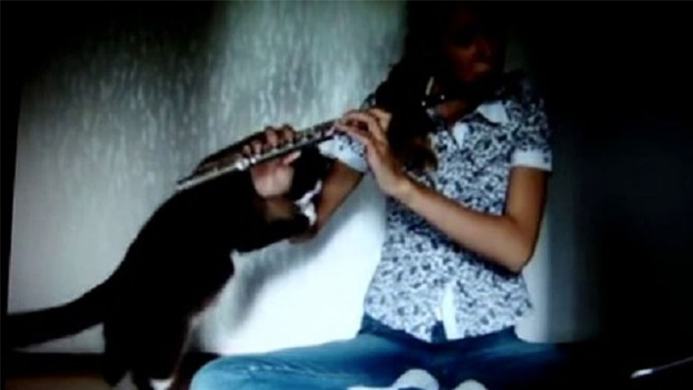 Tο βιολί σου εσύ 