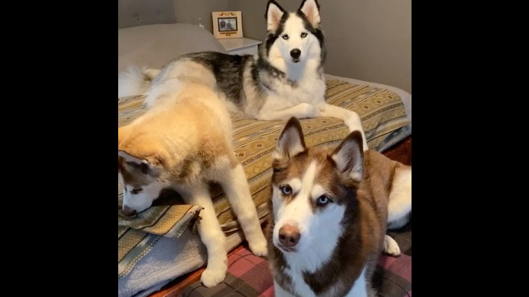 Πάμε βόλτα;