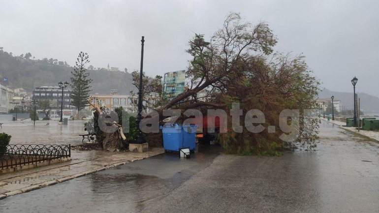 Δύσκολο βράδυ για τη Ζάκυνθο: Με θυελλώδεις ανέμους και δυνατή βροχή σάρωσε το νησί ο «Ιανός»