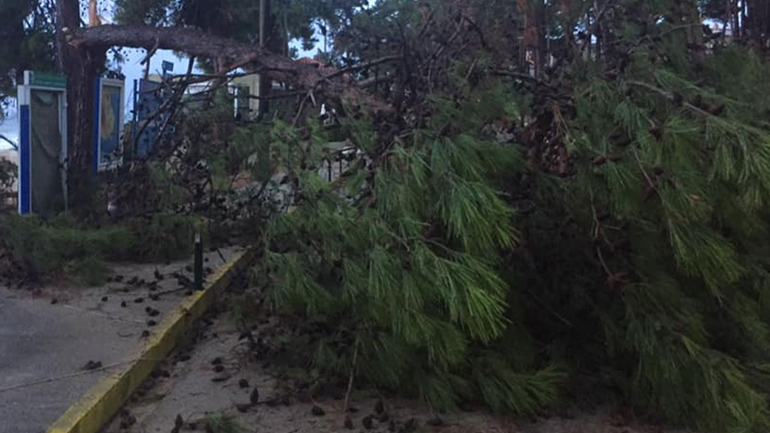 Ξερίζωσε δέντρα και έστειλε χειμάρρους με λάσπες ο «Ιανός» στην Κεφαλονιά