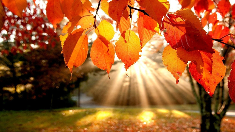 Ξεκινά και επίσημα την Τρίτη το φθινόπωρο με τη φθινοπωρινή ισημερία