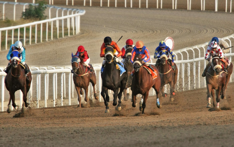 Πλούσιο θέαμα για ακόμη μια φορά πρόσφεραν οι Ελληνικές ιπποδρομίες