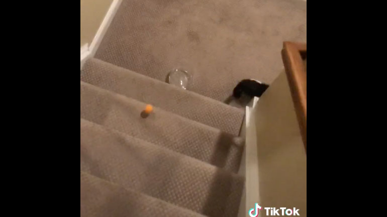 Ένα διαταρακτικό στοιχείο σε μια αλυσιδωτή αντίδραση 