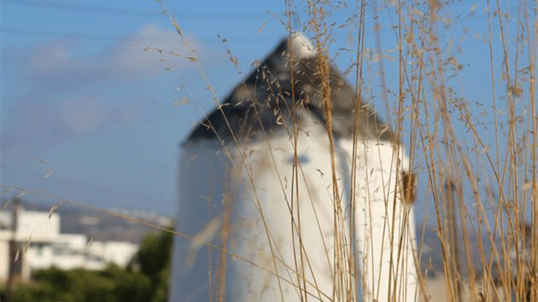 Διαδρομές στη Μάρπησσα