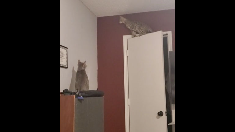 Αποστολή εξετελέσθη 