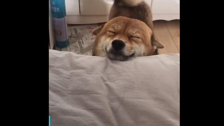 Ο πιο όμορφος τρόπος για να ξυπνήσεις…