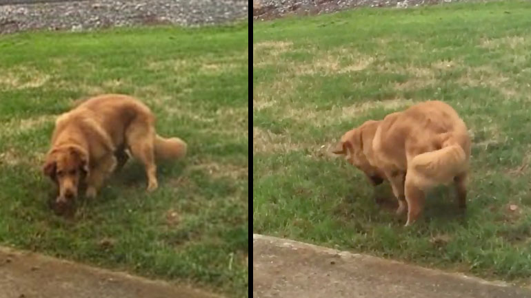 Δεν είναι αυτό που νομίζεις