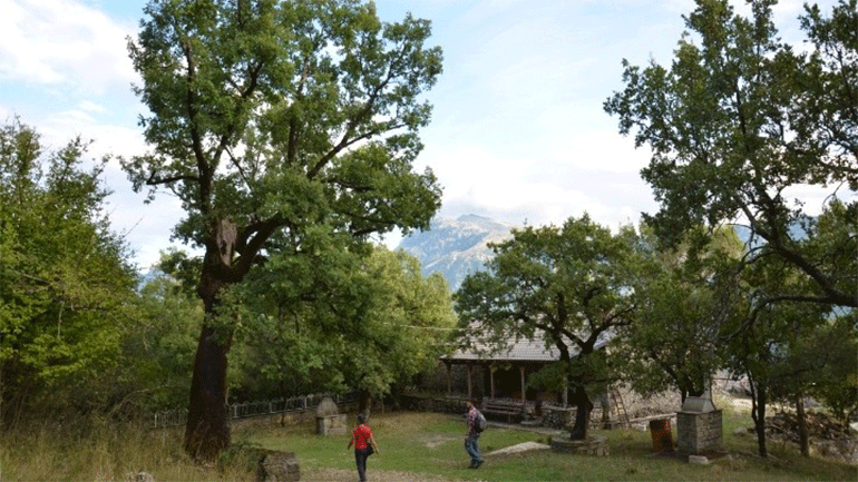 Έξι ιερά δάση της Ηπείρου σε ισάριθμα χωριά «αφηγούνται» τις ιστορίες τους