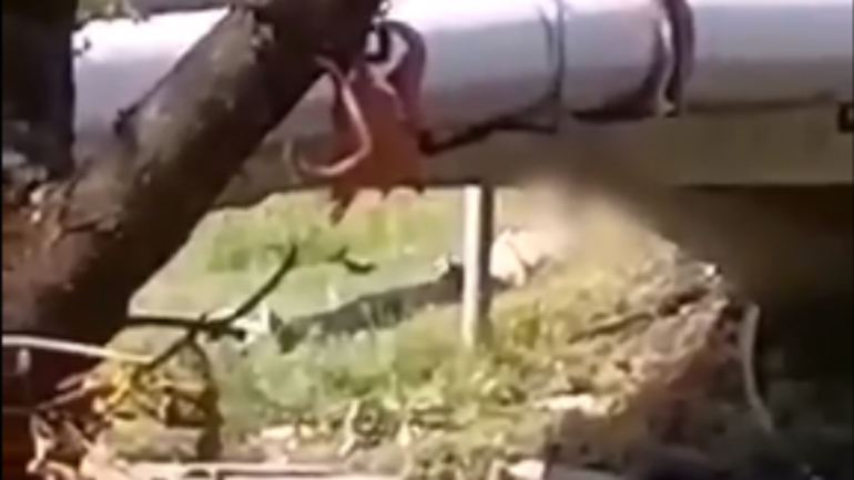 Τρίκαλα: Δεν σταμάτησε να… αυνανίζεται ούτε μπροστά στα μάτια των αστυνομικών!