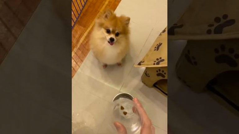 Σοβαρά τώρα;