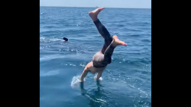 Βούτηξε δίπλα σε καρχαρία