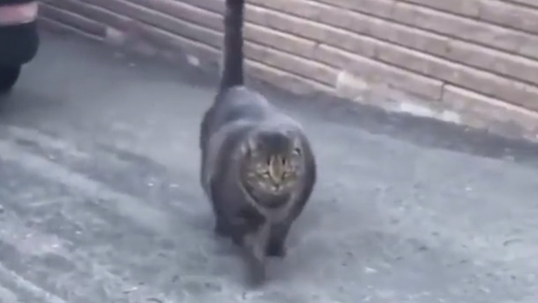 Η σκληρή προπόνηση αποδίδει!