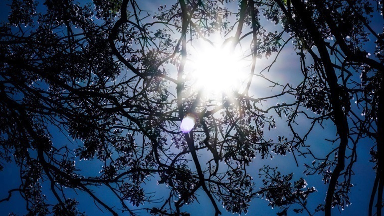 Ο καιρός σήμερα