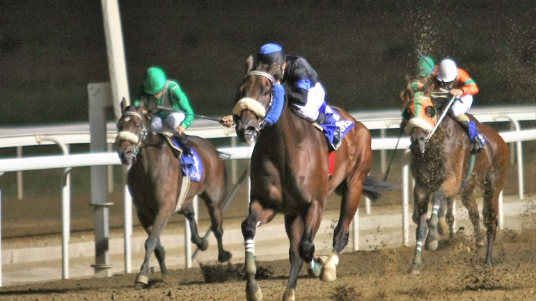Markopoulo Park: Στον ΧΑΒΙΛΝΤΑΡ το Κύπελλο Ακροπόλεως – Πλήθος νικητών στο ΣΚΟΡ 6