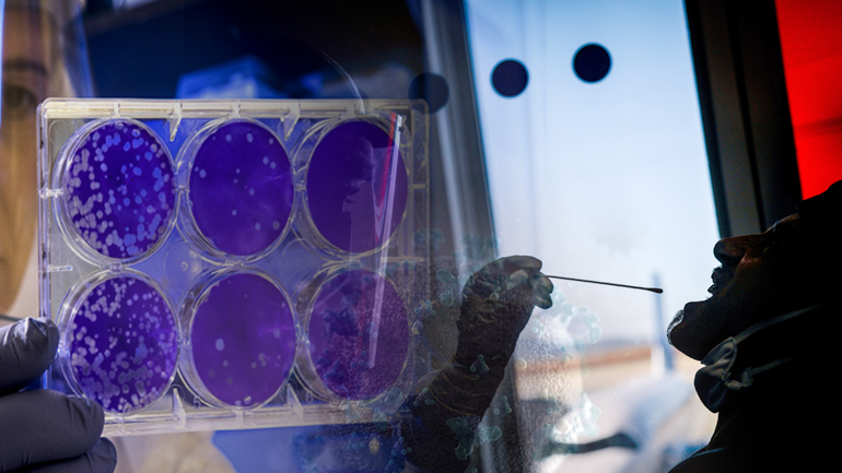 Καταμετρήθηκαν 354  νέα κρούσματα κορωνοϊού