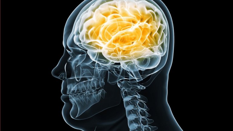 Ο γενετικός κίνδυνος ανάπτυξης παχυσαρκίας οφείλεται σε παραλλαγές που επηρεάζουν τον εγκέφαλο