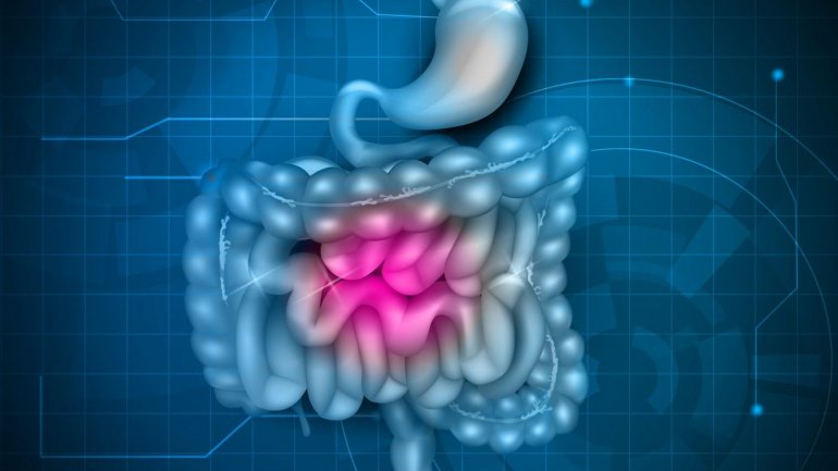 Η φρουκτόζη αυξάνει τη φλεγμονώδη νόσο του εντέρου