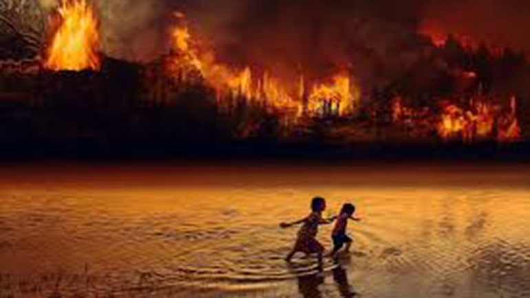 Βραζιλία: Οι πυρκαγιές φέτος είναι οι χειρότερες των τελευταίων δέκα χρόνων