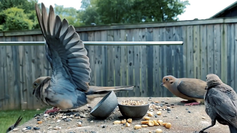 Θα επικρατήσει ο πιο δυνατός