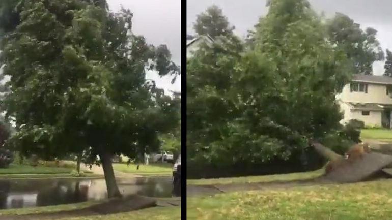 Τυφώνας ξεριζώνει δέντρο μπροστά από ένα σπίτι (ΗΠΑ)