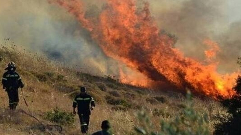 Μεγάλη φωτιά στις παρυφές του δάσους της Δαδιάς στον Έβρο Μεγάλη φωτιά στις παρυφές του δάσους της Δαδιάς στον Έβρο