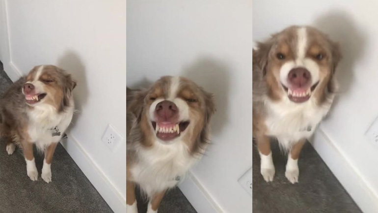 Εσύ το έκανες;