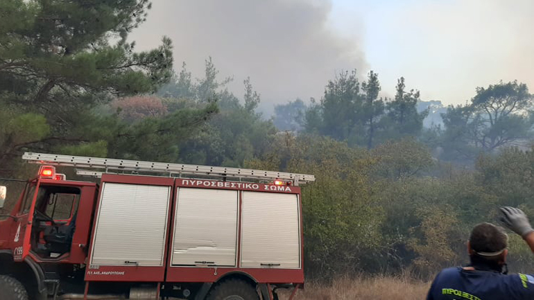 WWF Ελλάς για τη φωτιά στη Δαδιά: «Γιατί πρέπει να καεί ένα φυσικό σύμβολο της χώρας χωρίς λόγο και αιτία;» WWF Ελλάς για τη φωτιά στη Δαδιά: «Γιατί πρέπει να καεί ένα φυσικό σύμβολο της χώρας χωρίς λόγο και αιτία;»