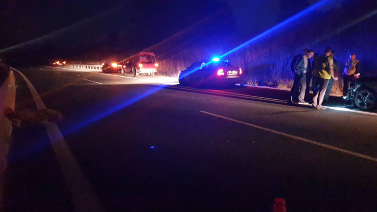 Νεκρή αρκούδα σε τροχαίο στην Εγνατία Οδό